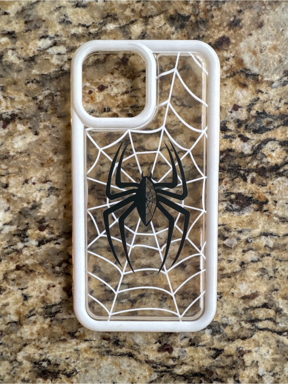 iPhone 13 Pro Max Spider Web Case – Halloween 🕷️
